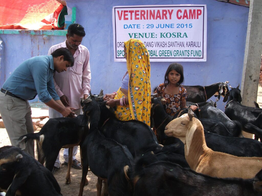 Livelihood programs Daang Vikas Sansthan