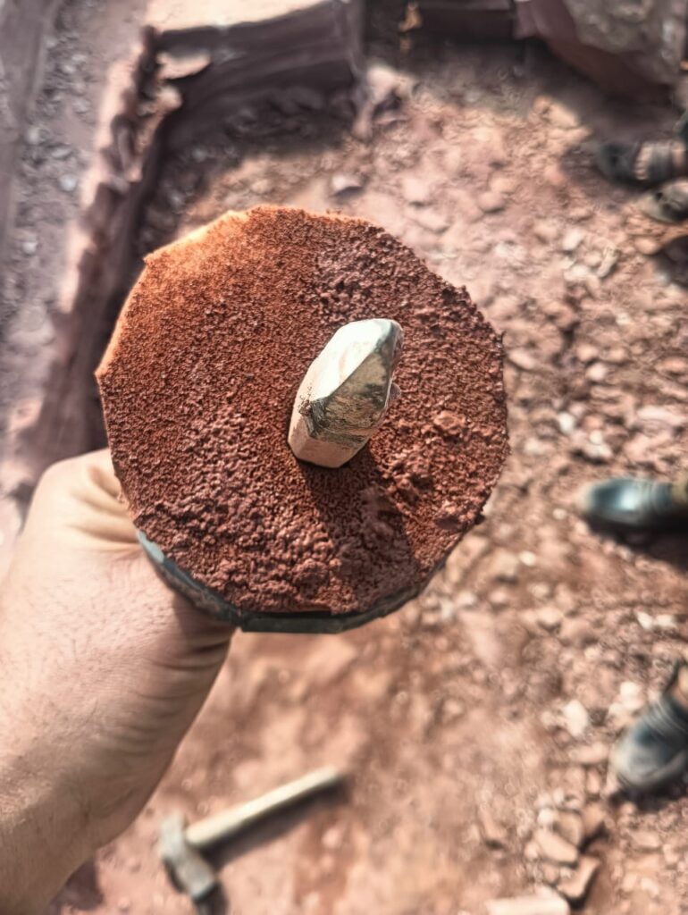 Training and skill development for laborers